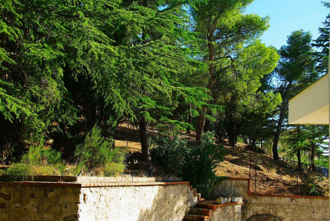 La Casa Di Boz B&B Nuoro  Exteriér fotografie